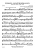 Wedding Day At Troldhaugen, Op. 65, No. 6 for Band - Flute 1