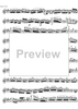 Concerto No. 5  A Major KV219 - Violin