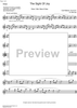 The Sight of Joy - Oboe