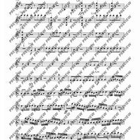 Concerto E Minor - Set of Parts