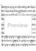 Godalni Quartet - Violin 2