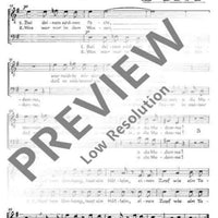 Spanisches Liederspiel - Tenor / Bass