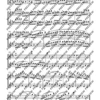 Duo D major - Performing Score