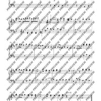 Wassermusik & Feuerwerksmusik