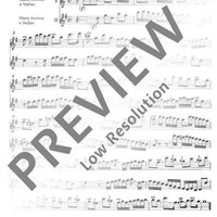 Duo G Major - Performing Score