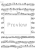 Preliminary studies to 'The Accomplished Clarinettist' Vol. 1 - Clarinet