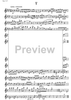 Ricuarz - Flute/Violin
