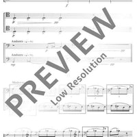 Concento di corde - Performing Score