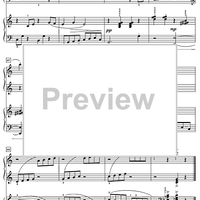 Concertino for the Young