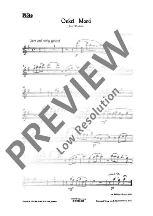 Sonne, Mond und Sterne - Flute