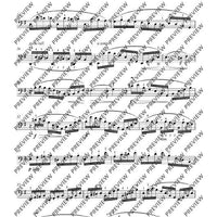 12 Etudes-Caprices caractéristiques