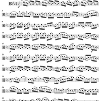 "Ergiesse dich reichlich, du göttliche Quelle", Aria, No. 3 from Cantata No. 5: "Wo soll ich fliehen hin?" - Viola