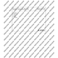Concerto G Minor - Set of Parts