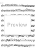Concerto No. 4 D Major KV218 - Violin