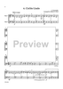 Thumb Position Duos for 2 Double Basses