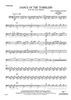 Dance of the Tumblers (from The Snow Maiden) - Cello
