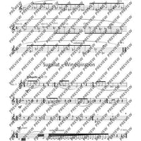 The Flute Expedition