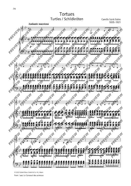 Turtle Music Note Turtles