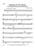 Shadows in the House -  for String Orchestra and Drum Set - Violin 2