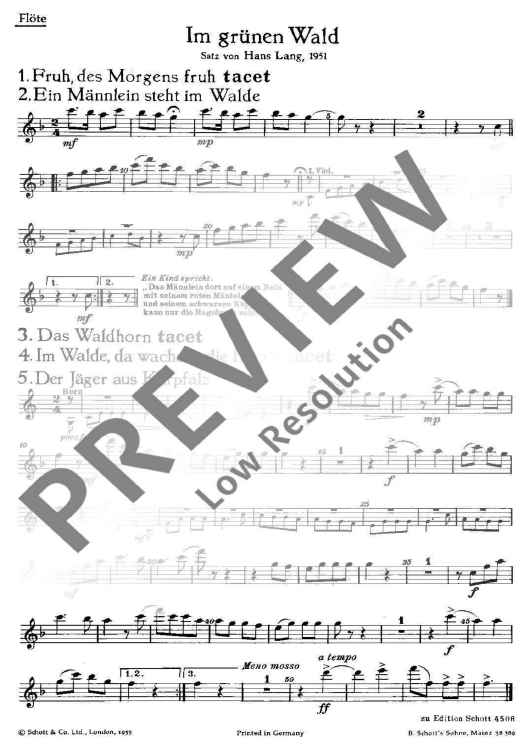 Im grünen Wald - Flute