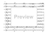 Bass Clarinet Double Concerto - Score