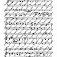 Concerto Bb Major - Piano Score and Solo Part