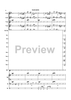 The Spin Doctor - Score