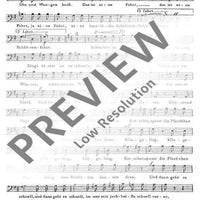 Petersburger Schlittenfahrt - Bass I