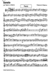 Sonata - Flute