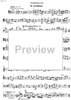 Contrabbasso concertante - Double Bass