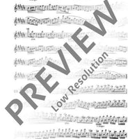 30 Virtuoso Etudes in all major and minor keys