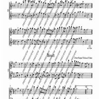 The Flourishing Baroque Period - Performing Score