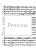 Allegro from a minor concerto - Score