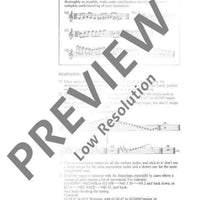 The Modern Recorder Player