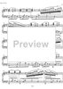 Essays on the forgotten Rhythms Op.28