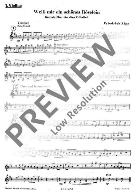 Weiß mir ein schönes Röselein - Violin I