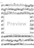 Concerto No. 1 G Major KV313 - Flute