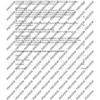 The Flute Expedition