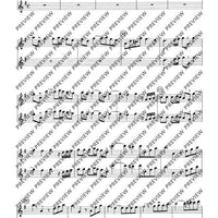 Concerto grosso in G major - Set of Parts