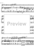 Concerto No. 1 G Major KV313 - Score