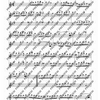 Six Sonatas - Performing Score