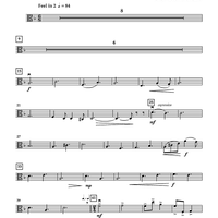 Shipwreck Beach - Viola