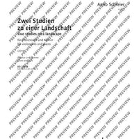Zwei Studien zu einer Landschaft - Score and Parts
