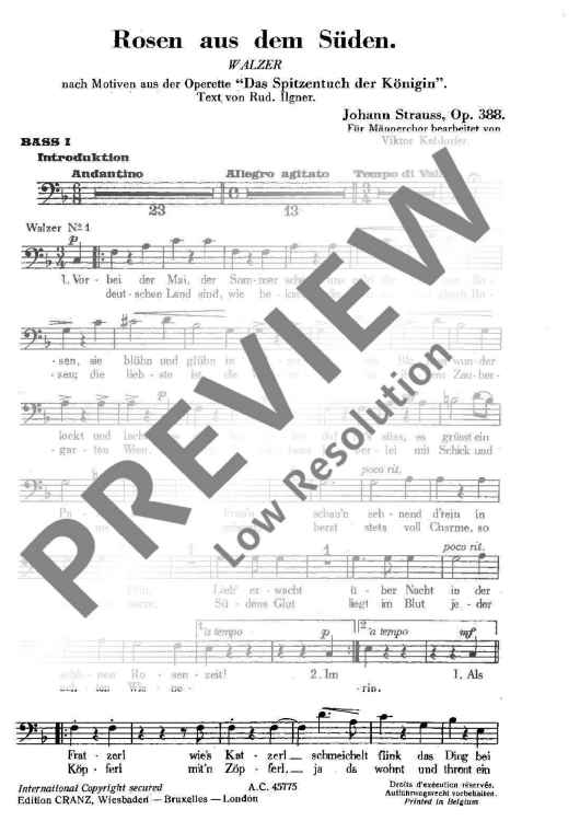 Rosen aus dem Süden - Bass I