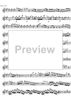 Concerto No. 5  A Major KV219 - Violin