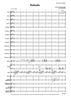 Kakadu - Conductor's Score