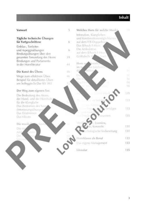 Hohe Schule des Horns