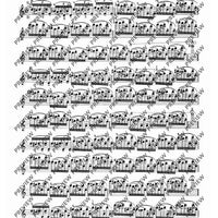 100 Technical Paraphrases on Kreutzer-Etudes