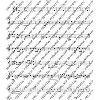 Missa Argentina - Violin 1