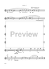 Dancin' Into The '20s: III. Waltz Set - Music of Victor Herbert - Flute 2
